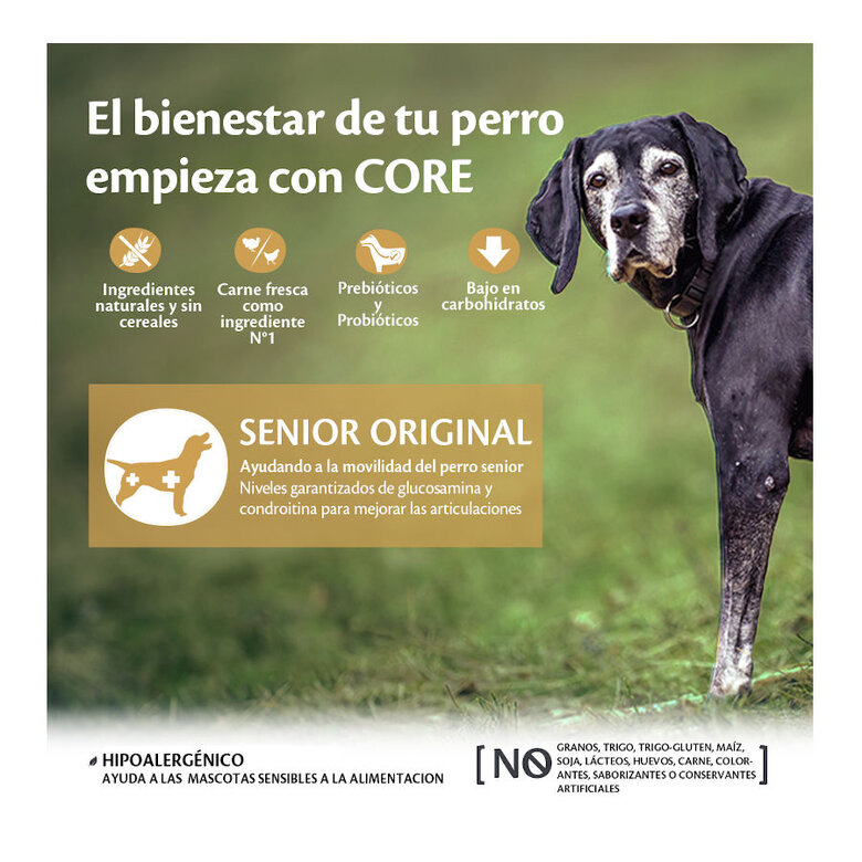 Wellness Core Senior Pollo y Pavo pienso para perros, , large image number null