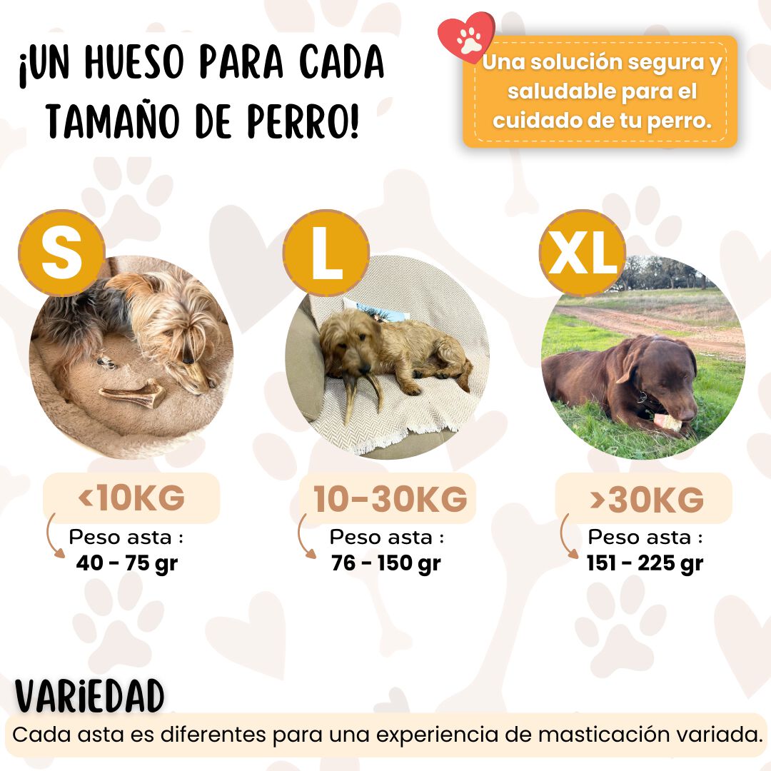 ECOMORDISCOS - Mordedor de Asta de Ciervo para Perro (Talla S,L,XL) 100% Natural, Resistente, Calma Estr&eacute;s y Ansiedad, Reduce Sarro (XL) Juguete, , large Imagen numero 5
