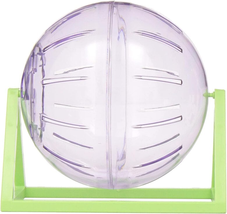 Bola de ejercicio de plástico Living World Pequeña