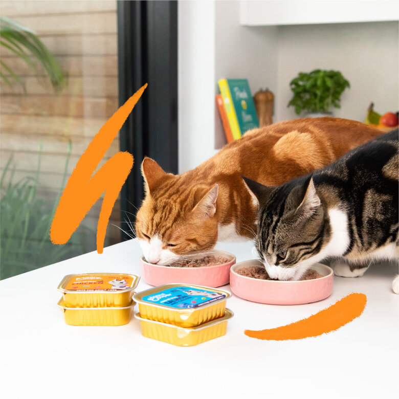 Edgard & Cooper Adult Salmón y Pollo en Paté tarrina para gatos, , large image number null