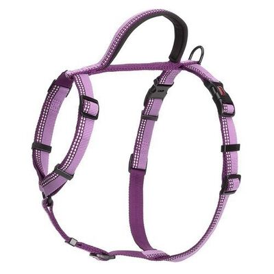 Arnés de paseo Halti para perros color Púrpura