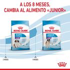 Royal Canin Puppy Giant pienso para perros, , large image number null