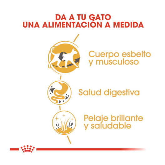 Royal Canin Adult Siamese pienso para gatos thumbnail