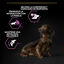 3 kg Pro Plan Adult Small y Mini Pollo pienso para perros Sénior +9, , large indicador imagen numero 4