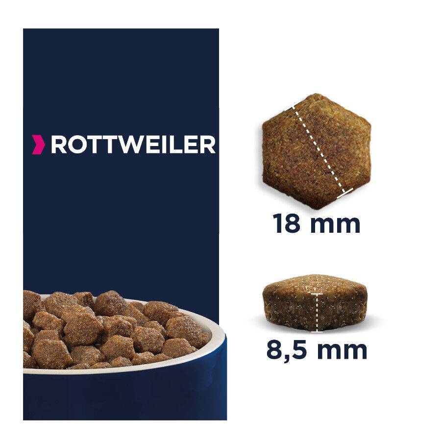 Eukanuba Adult Rottweiler pienso para perros thumbnail