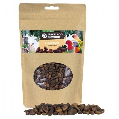 Semillas de pino para loros sabor Nuez Cedar