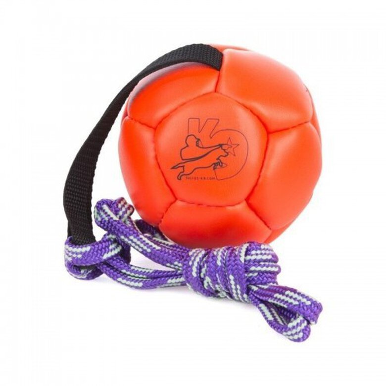 Pelota de entrenamiento Julius K9 color Naranja, , large image number null