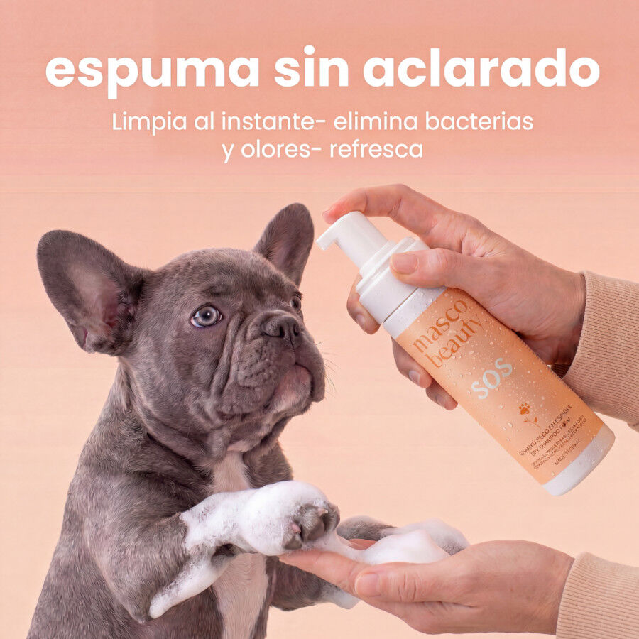Masco Beauty Kit reparaci&oacute;n almohadillas para perro, , large Imagen numero 3