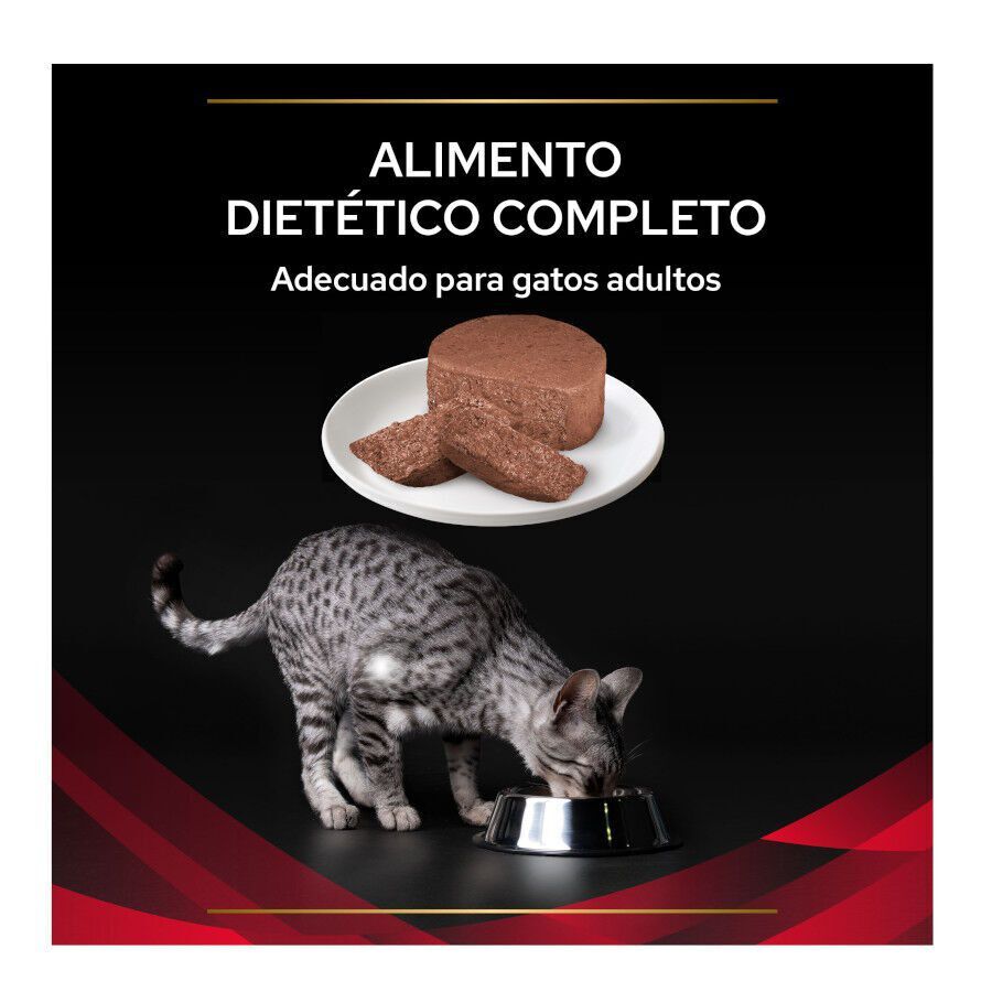 195 g Pro Plan Veterinary Diets Diabetes lata para gatos, , large Imagen numero 3