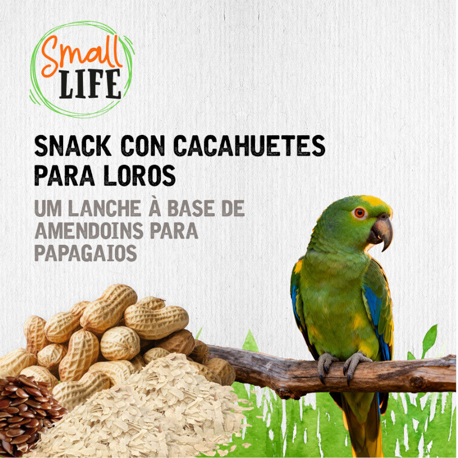 2 barritas Small Life Barritas Snack con cacahuetes para loros, , large Imagen numero 4