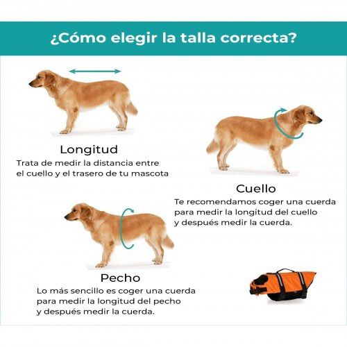 Kol outdoor aquadog chaleco salvavidas azul para perros, , large Imagen numero 6