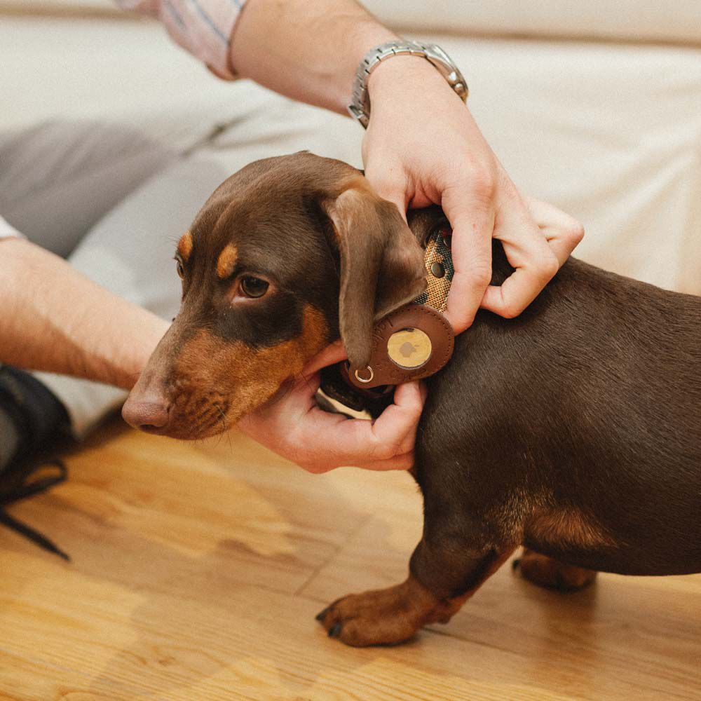 FUNDA PARA LOCALIZADOR (AIRTAG), , large Imagen numero 5