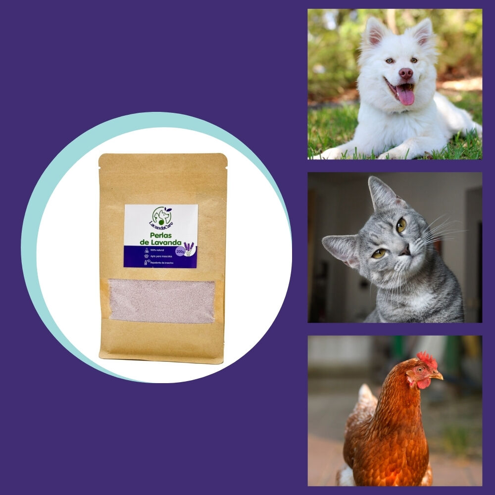 FINCA CASAREJO Perlas de Lavanda para Mascotas thumbnail