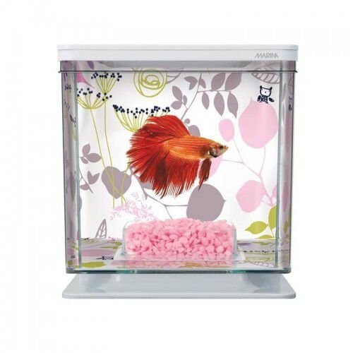 Kit betera Marina Betta para peces, colores Varios