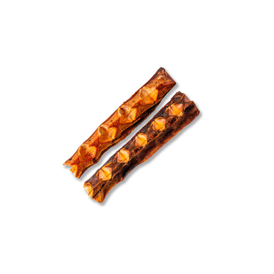 2 uds. True Origins Hueso de At&uacute;n Grande Snack para perros, , large Imagen numero 3