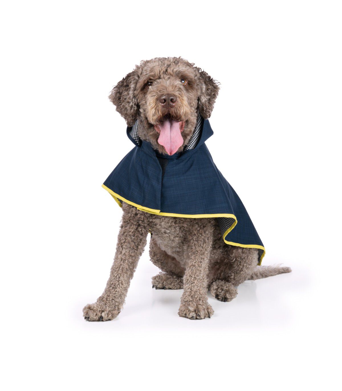 Capa de Lluvia para perro Groc Groc Lola 3 Softshell Azul Marino, , large Imagen numero 2