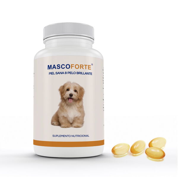 Caja de snacks naturales para perro PETbox, , large Imagen numero 2