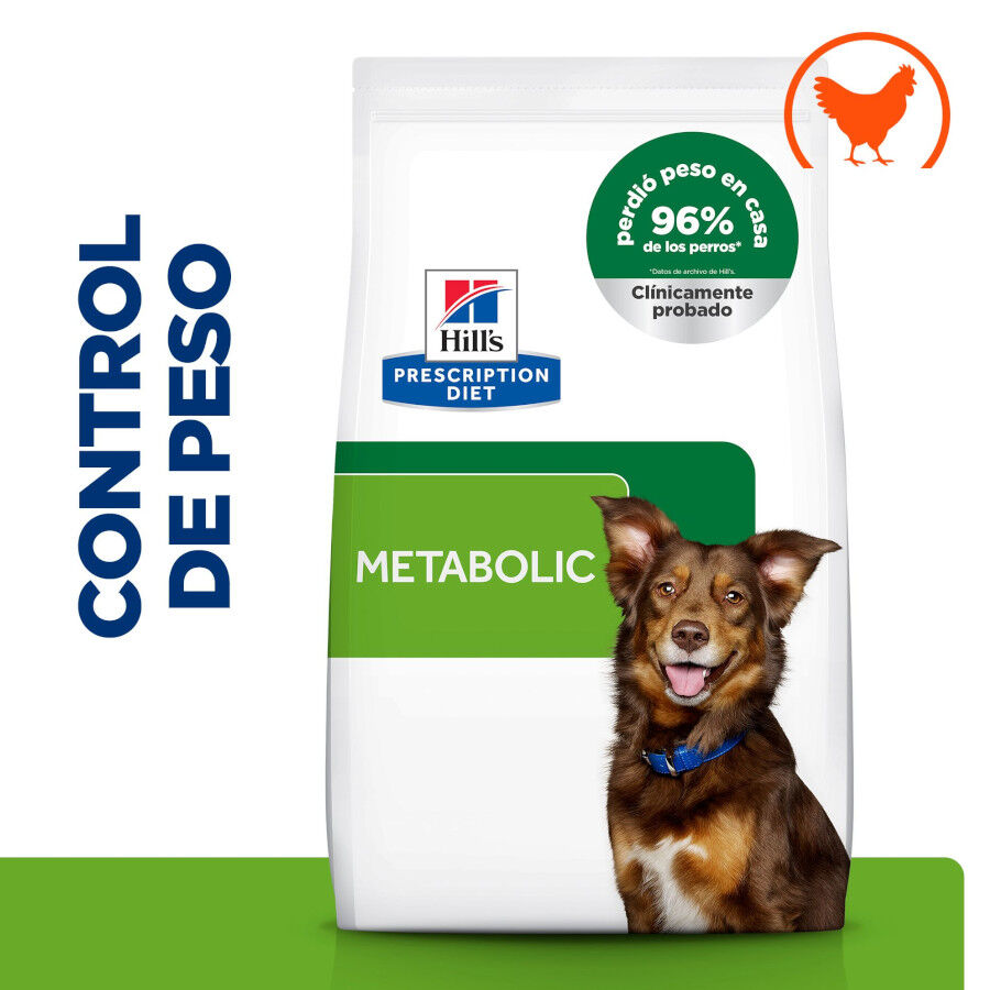 12 kg Hill's Prescription Diet Metabolic Pollo pienso para perros, , large Imagen numero 2