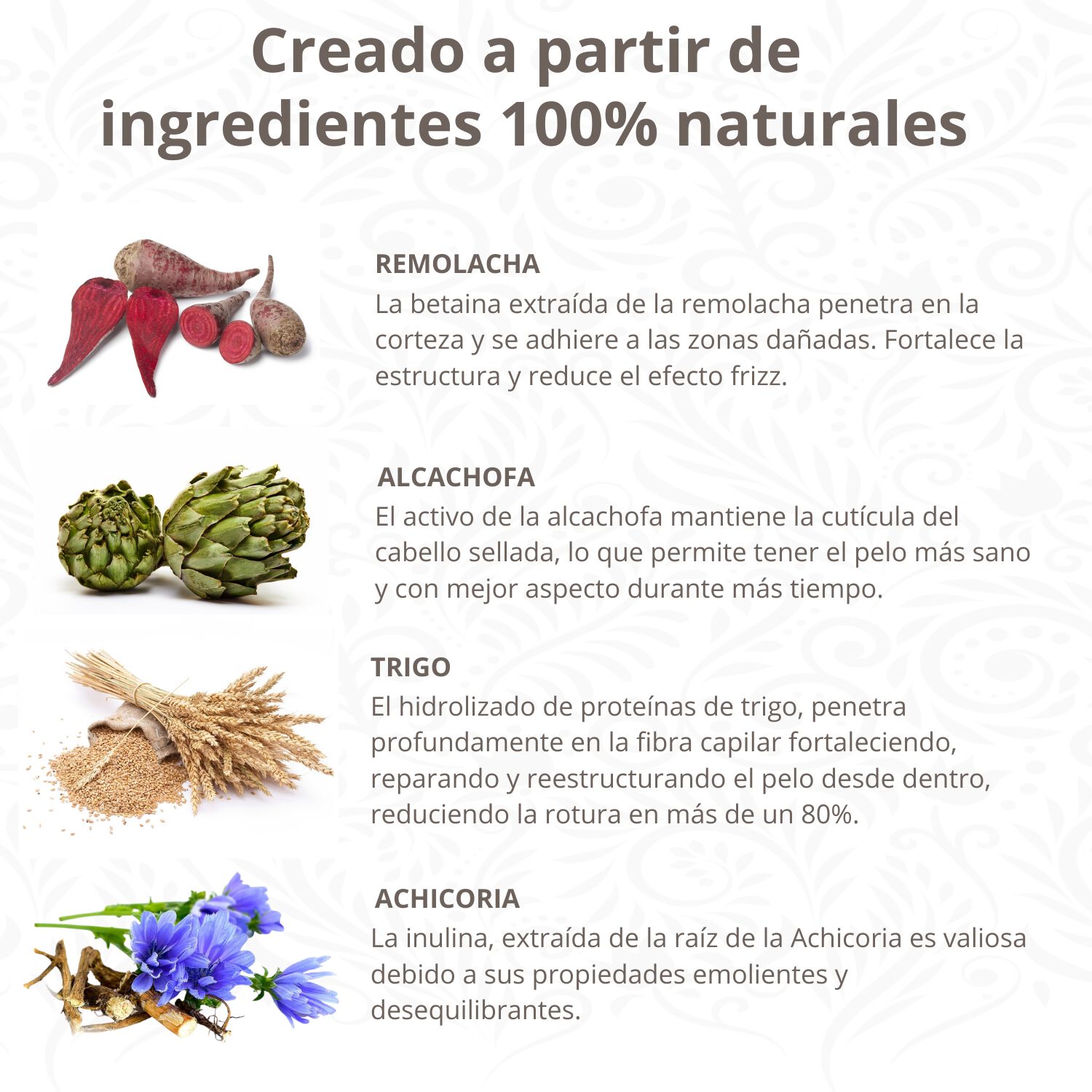 Acondicionador para Perros sin Aclarado&nbsp;, , large Imagen numero 2