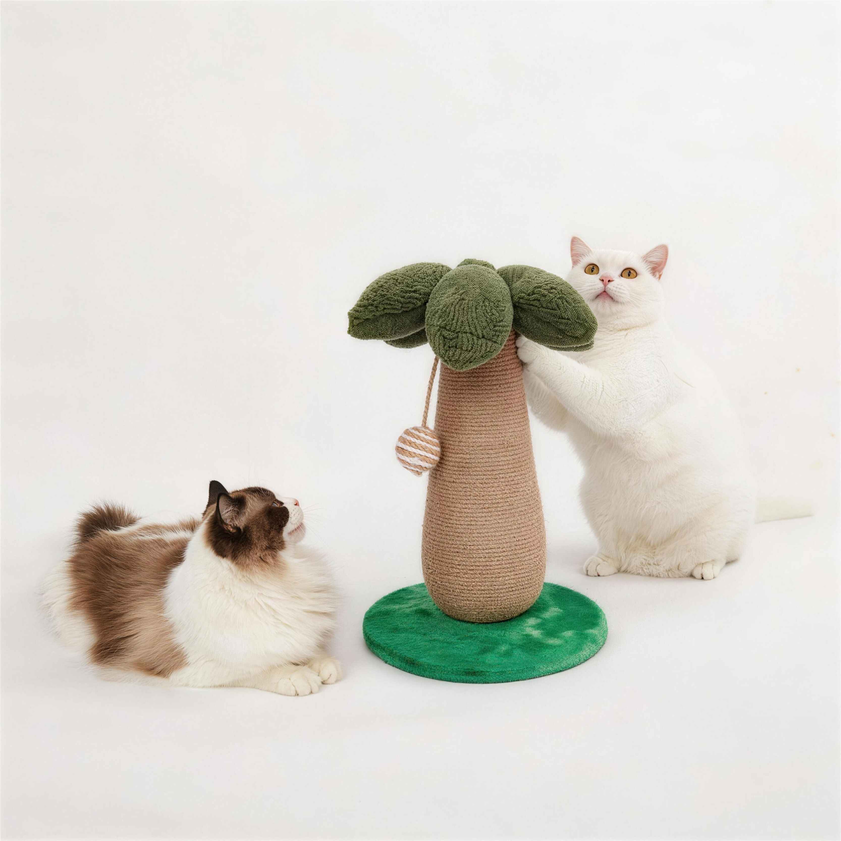 Rascador para Gatos en Forma de Palmera con Base y Juguete Colgante, , large Imagen numero 4