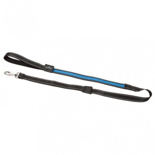 Correa luminosa para perros color Azul, , large Imagen numero 1