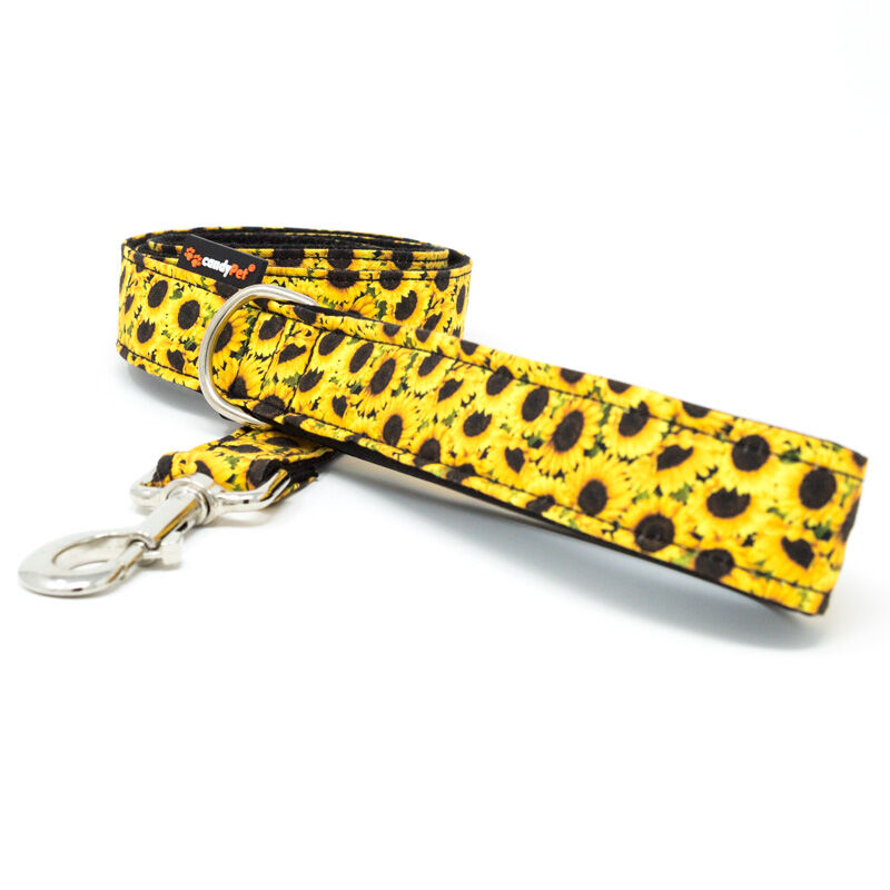 candyPet&reg; Correa para Perros - 120 cm con Asa acolchada - Modelo Amarillo, , large Imagen numero 1