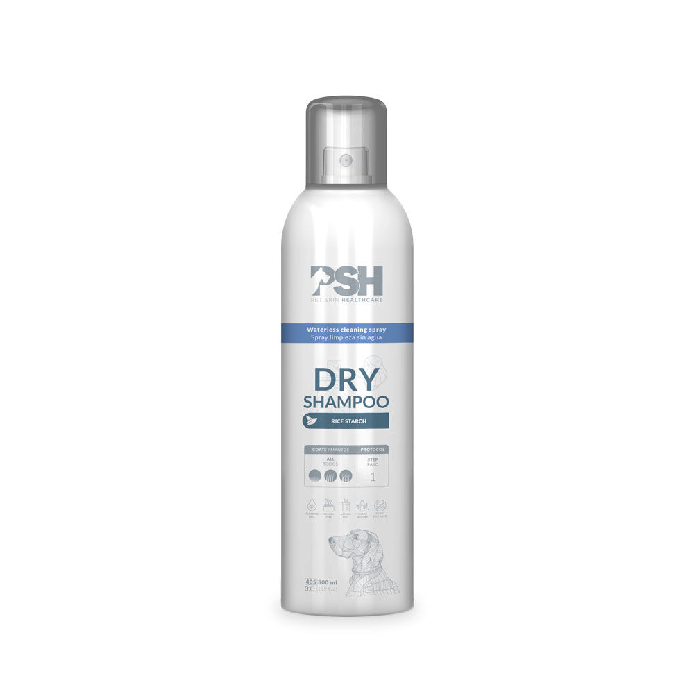 DRY SHAMPOO, , large Imagen numero 1
