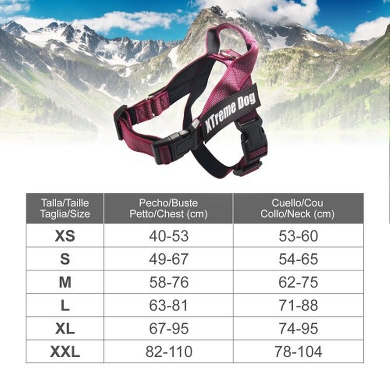 Arnés Xtreme Classic para perros color Rosa, , large image number null