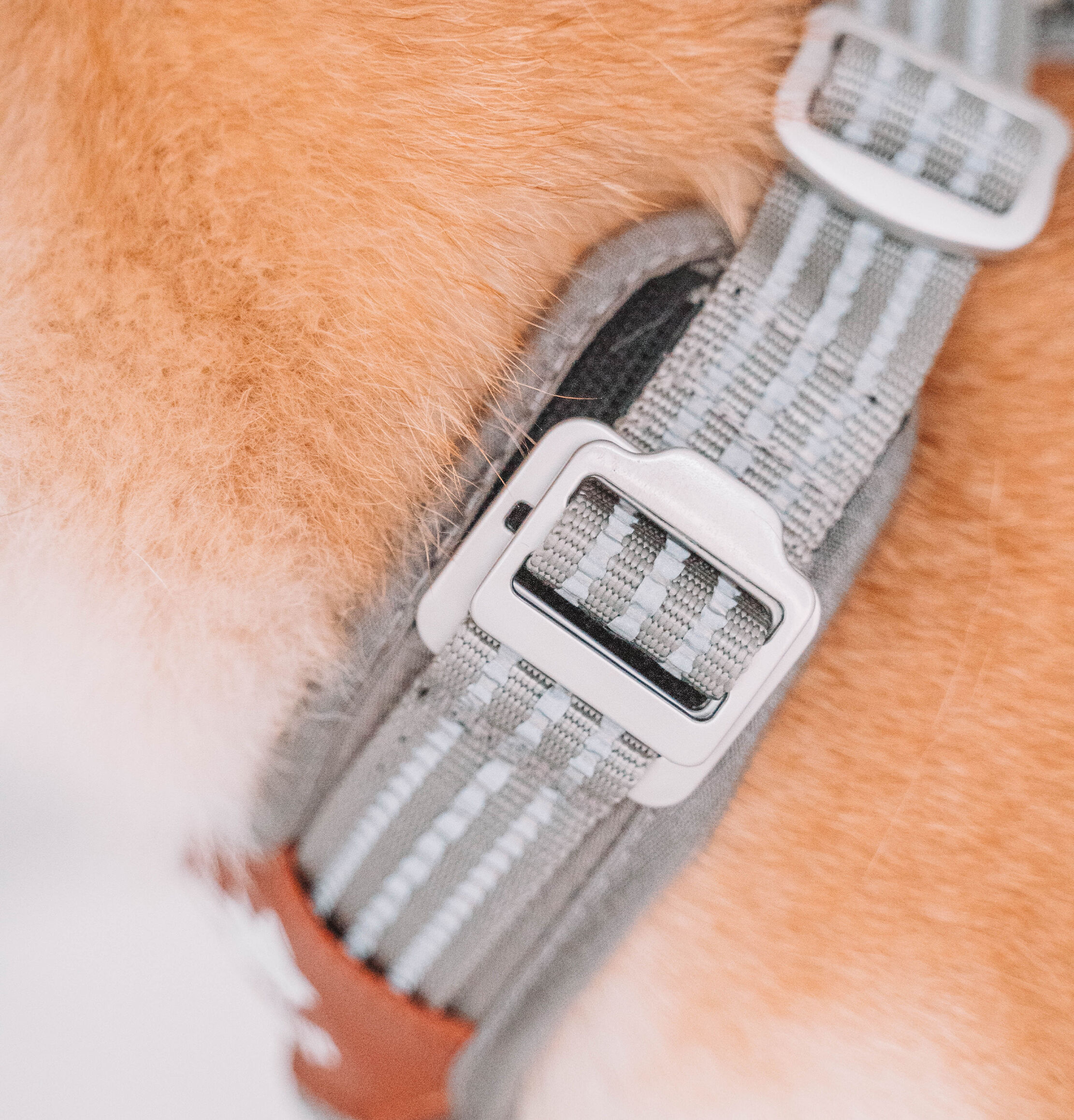 Foxys Arnés Antitirones con hebillas aluminio reforzadas color Gris thumbnail