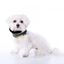 Cuello Uoamy para perros color Camuflaje, , large indicador imagen numero 1