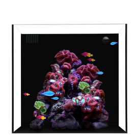 WATERBOX CUBE 20