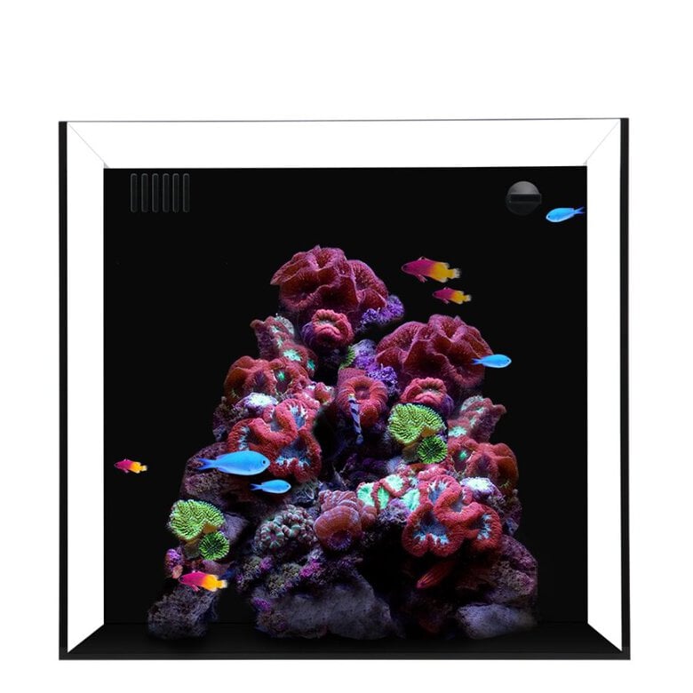 WATERBOX CUBE 20