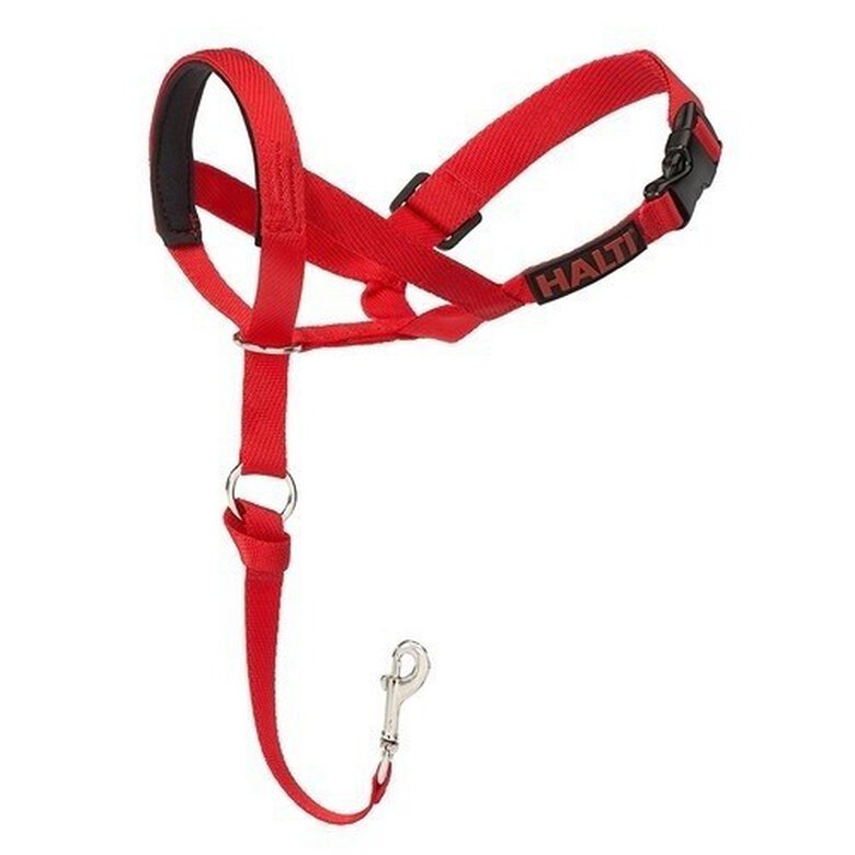 Collar de cabeza Halti para perros color Rojo, , large image number null