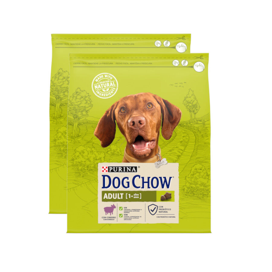 Dog Chow Adult Cordero pienso para perros