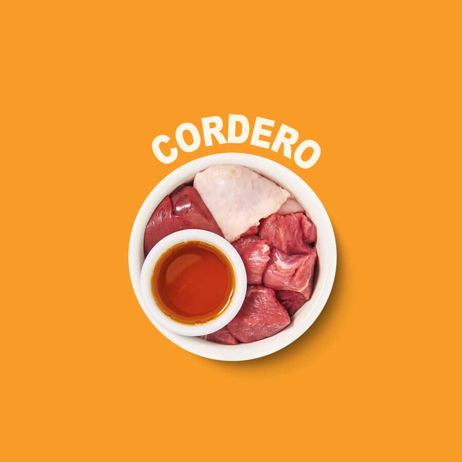 Lily&#039;s Kitchen Feline Smooth Selection paté tarrinas para gatos thumbnail