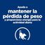 6 kg Hill's Prescription Diet Metabolic + Mobility Mini j/d pienso para perros, , large indicador imagen numero 5