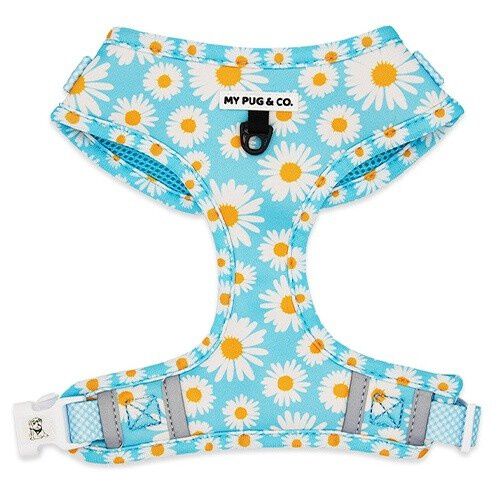 My Pug & Co. Arn&eacute;s Every Daisy Azul-Blanco para perros, , large Imagen numero 1