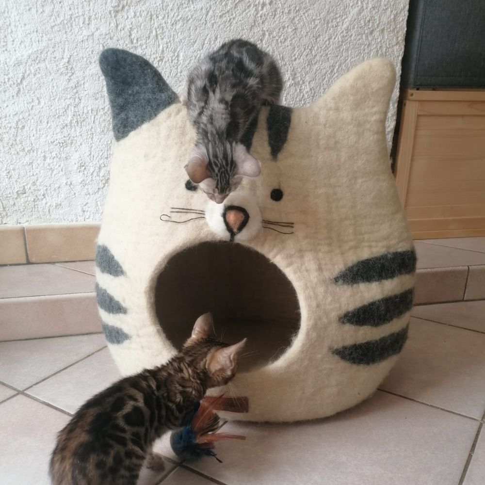 Gruta para gato de fieltro de lana n&oacute;rdico Yeti, , large Imagen numero 3