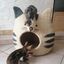 Gruta para gato de fieltro de lana n&oacute;rdico Yeti, , large indicador imagen numero 3