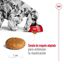2 x 15 kg Royal Canin Medium Adult pienso para perros ¡Pack ahorro!, , large indicador imagen numero 7