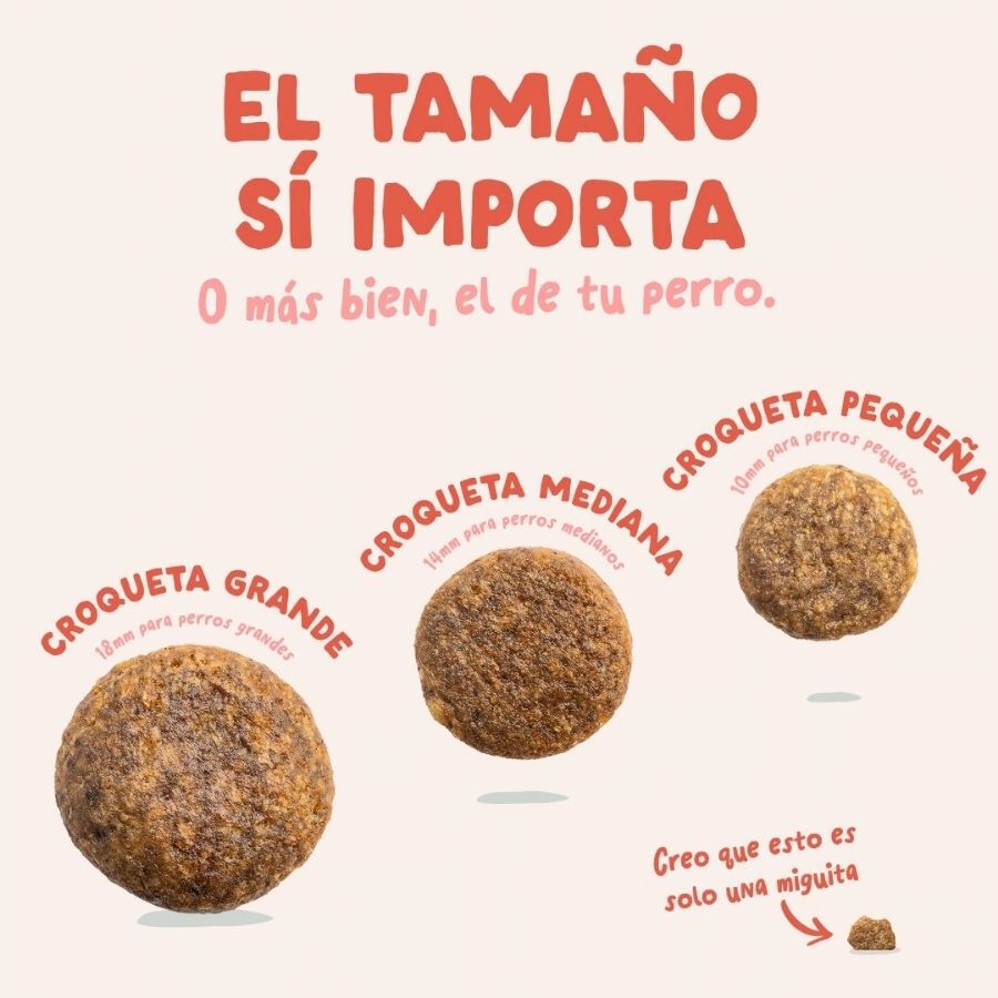 12 kg Edgard & Cooper Senior Salm&oacute;n Noruego y Pollo pienso para perros grandes, , large Imagen numero 7