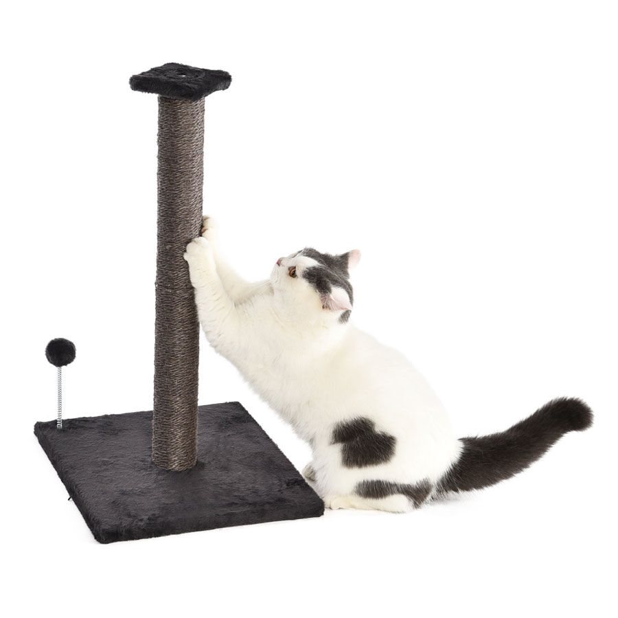 WUAPU RASCADOR GATO 3x1 MARRON 69x40x138, , large Imagen numero 3