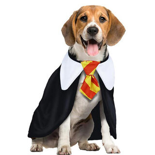 Guirca Disfraz de Estudiante de Magia para perros