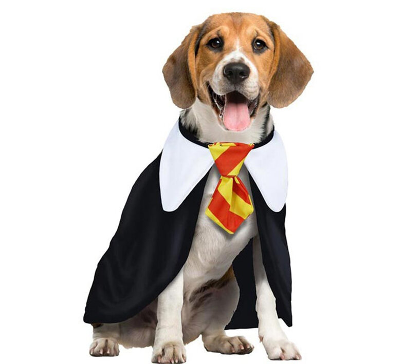 Guirca Disfraz de Estudiante de Magia para perros