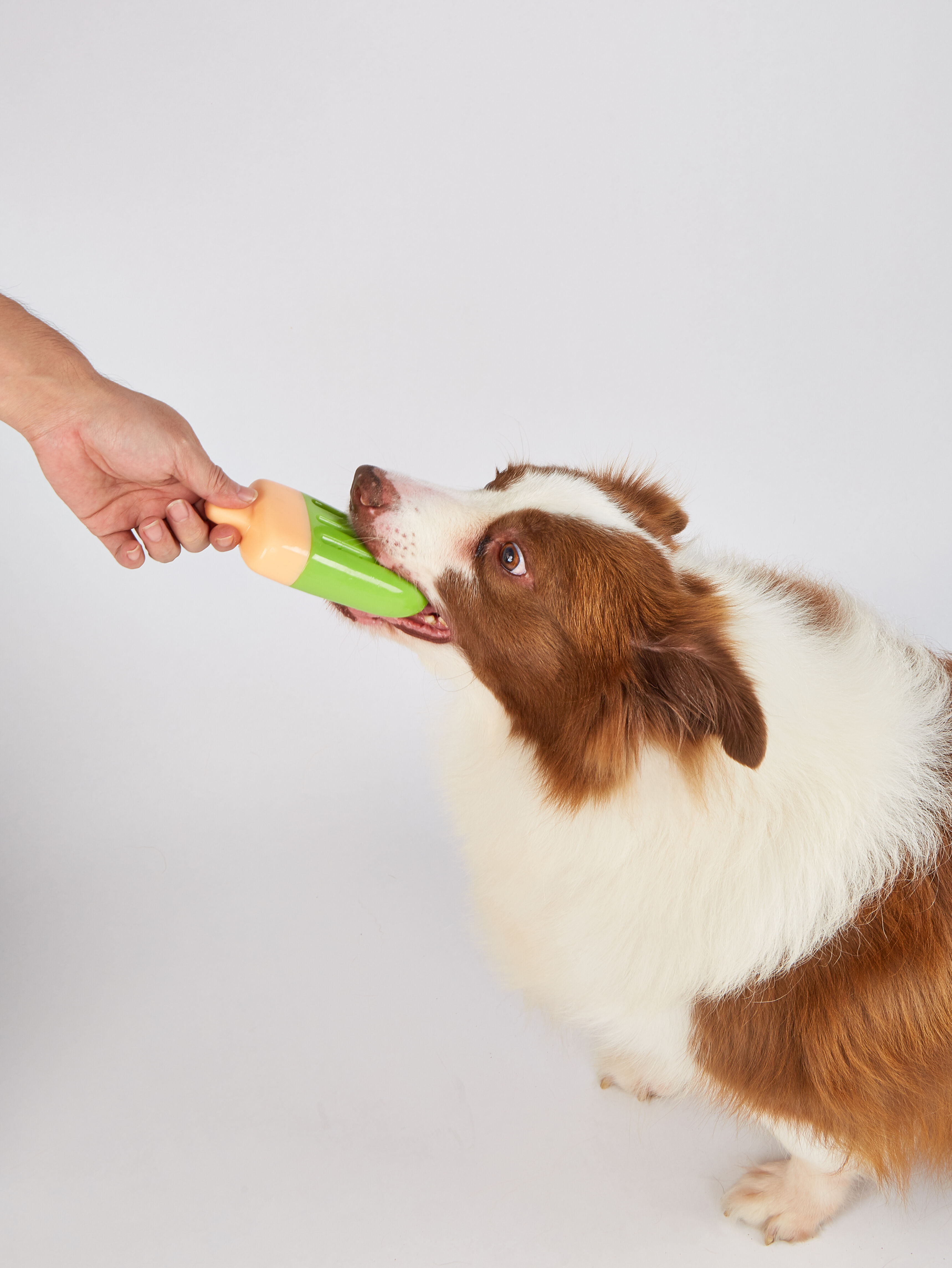Juguete Refrescante para Perro &ndash; Ice Lolly, , large Imagen numero 3