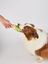 Juguete Refrescante para Perro &ndash; Ice Lolly, , large indicador imagen numero 3