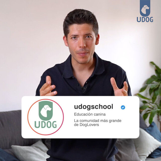 Curso Primeros d&iacute;as con tu cachorro, , large Imagen numero 5