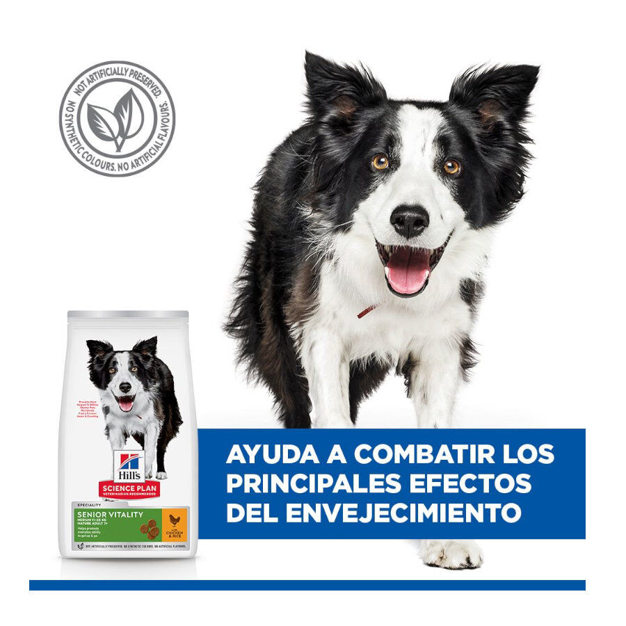 2.5 kg Hill's Science Plan Youthful Vitality Medium Adult Pollo&nbsp;pienso para perros, , large Imagen numero 6