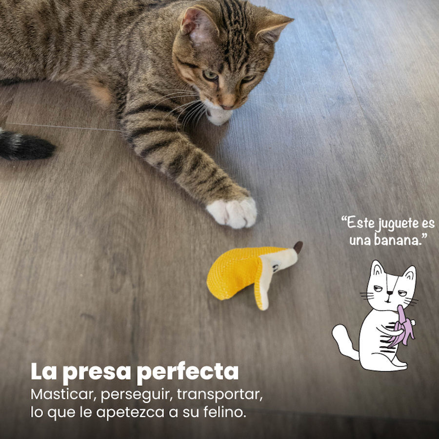 Catstages Dental Peluche Banana para gatos, , large Imagen numero 6