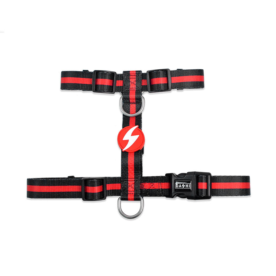 Arn&eacute;s Stripes Rojo & Negro para perros Muy Peque&ntilde;o, , large Imagen numero 1